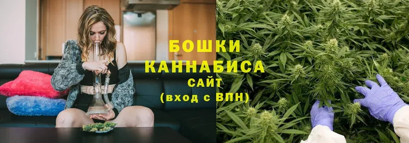 где купить наркотик  Почеп  Канабис план 